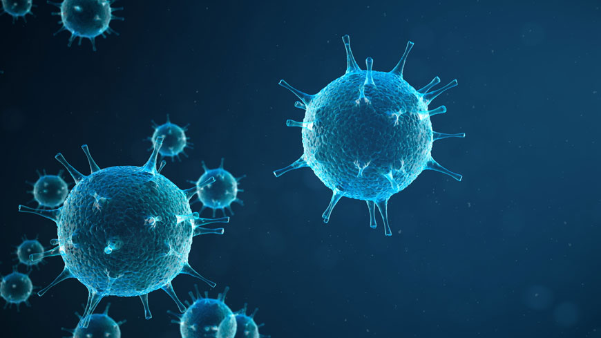 Калони Бизнес Счетоводни Услуги